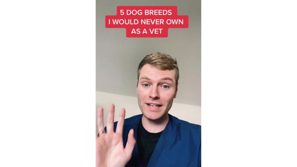 Birleşik Krallık'ın Chigwell bölgesinde görev yaptığı bilinen veteriner hekim Simpson-Vernon, yayınladığı TikTok videosu ile gündem oldu.