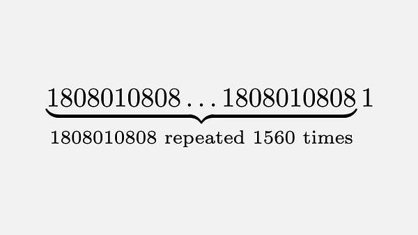 Dubner & Broadhurst isimli matematikçiler, bu 15601 haneli palidromik asal sayıyı bulmuştu. Sayı başladığının tam tersi şekilde sona eriyor.