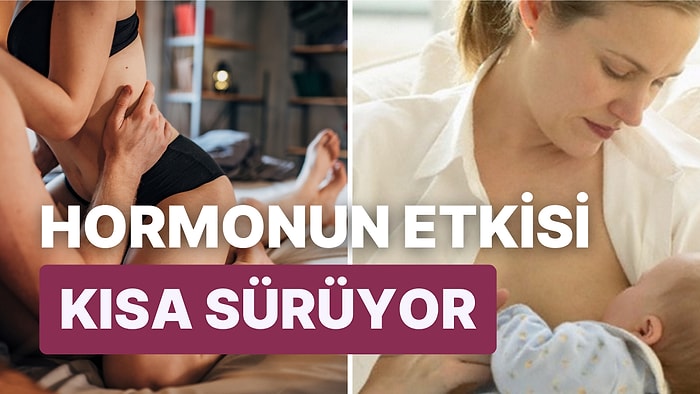 Cinsel İlişki ve Emzirme Gibi Özel Anlarda Salgılanan Aşk Hormonunun Kalp Hücrelerini Yenilediği İddia Edildi