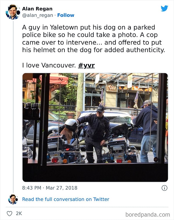 3. Где еще в мире вы найдете полицейских, позволяющих собаке позировать в своем шлеме на полицейском мотоцикле?