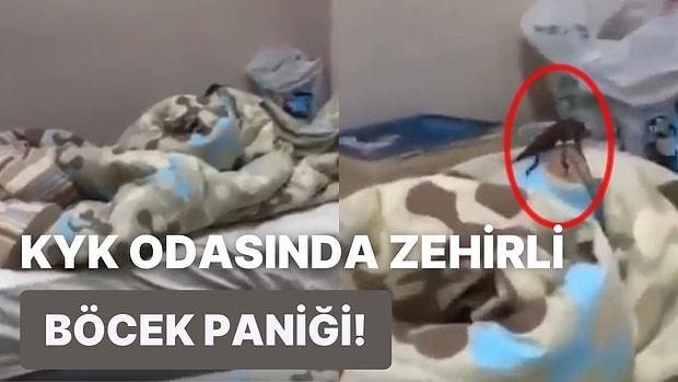 Edirne Kız KYK Yurdunun Odasında Görülen Tövbe Estağfurullahlık Böcek Sosyal Medyada Gündemde