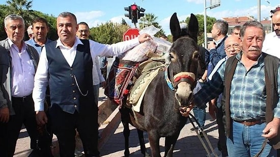 Katırla, 1 Milyon 17 Bin TL Taşıdı