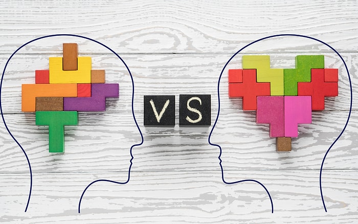 Что вами управляет: эмоции или логика?