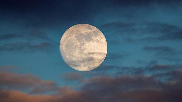 Ay burcu Akrep olanların kişilik özellikleri nelerdir?
