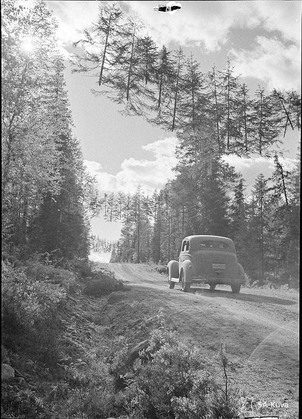 16. İkinci Dünya Savaşı sırasında Finlandiya'da iple asılan ağaçlarla kamufle edilmiş yol: