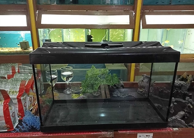 7. Aquarium pour les amateurs de poissons...
