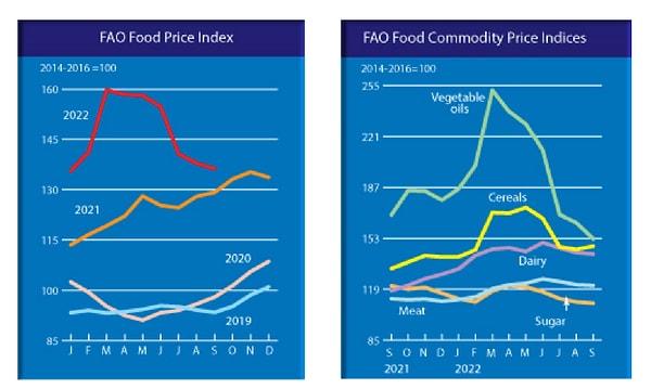 Endeks, yaygın olarak işlem gören gıda emtiasından oluşan bir sepetin uluslararası fiyatlarındaki aylık değişiklikleri takip ediyor.