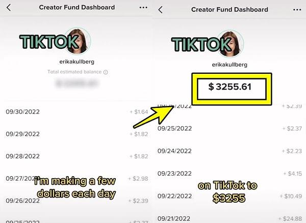 TikTok hesabından her gün düzenli olarak kazandığı ufak gelirlerin toplamı ise 3 bin 255 dolar!