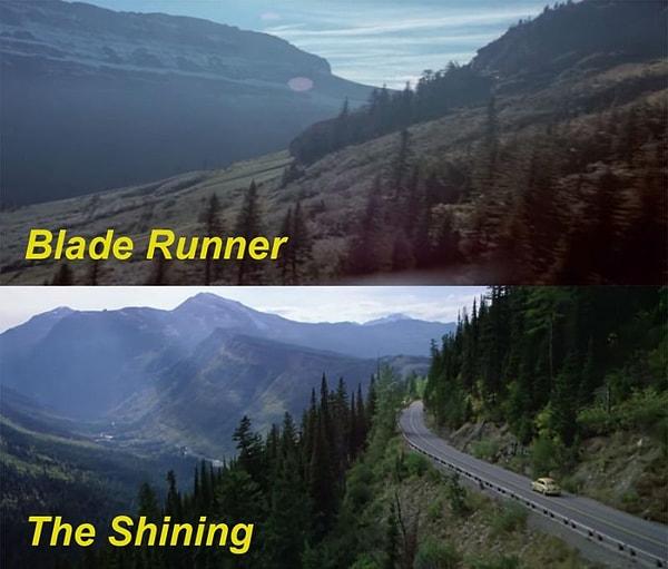 3. The Shining (1980) ve Blade Runner (1982)