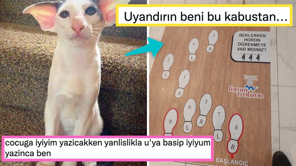 Aşko Kelimesinin Muadilinden Portatif Horon Öğrenme Tahtasına Son 24 Saatin Twitter'da Viral Olan Paylaşımları