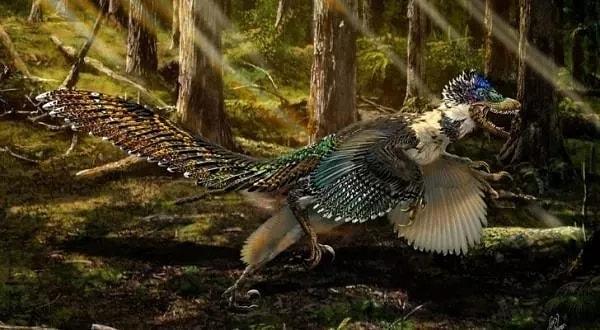 9. Bazı dinozor türleri ise tıpkı kuş tüyüne benzer tüylerle kaplıydı.