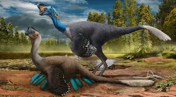 15. Oviraptor türünün dişleri yerine gagaları vardı.