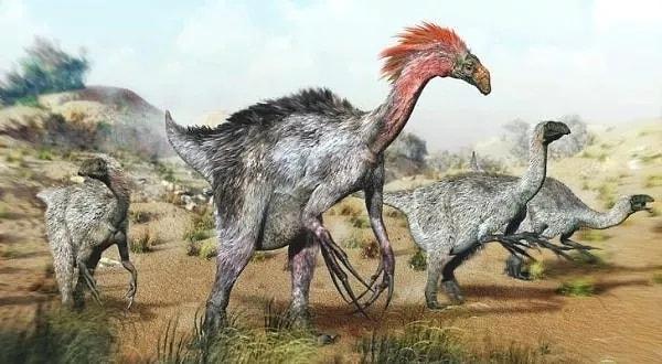 16. En uzun pençelere sahip dinozor, therizinosaur türüydü.