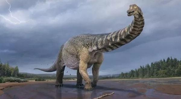 20. En büyük gövdeye sahip dinozor Argentinosaurus'tur.