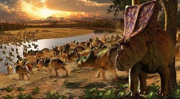 23. Birçok dinozor sürüler halinde seyahat ederdi.