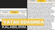 Yabancı Dilini Geliştirebilirsin Ama Balkonda Uyursan: Türkiye'de Yayınlanan En İlginç Ev Arkadaşı İlanları