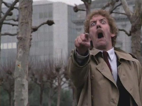 14. Invasion of the Body Snatchers (1978)