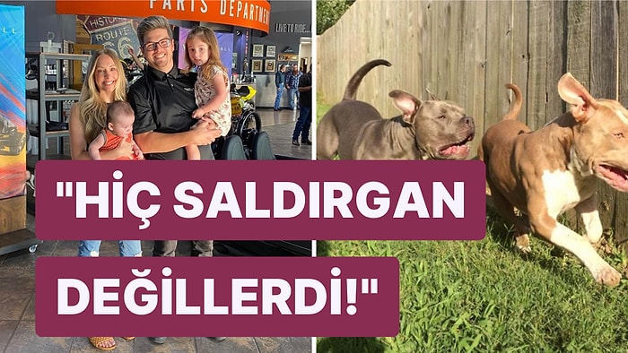 8 Yıldır Baktıkları Evcil Köpekleri Nedensiz Bir Şekilde Saldırınca Ailenin İki Çocuğu Yaşamını Yitirdi!