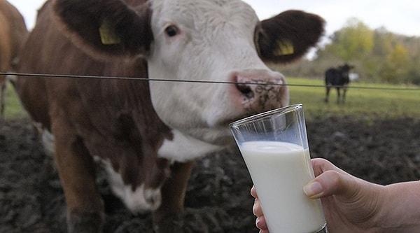 USK, 14 Ekim'den geçerli olmak üzere inek sütü tavsiye satış fiyatını üreticinin eline litre başına net 8,50 TL geçecek şekilde belirledi