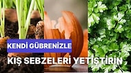 Evinde Sebze Yetiştirmeyi Sevenlere Özel Organik ve Sağlıklı Bir Rehber: Hangi Kış Sebzesi Nasıl Yetiştirilir?