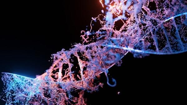 Fizikçi ve girişimci Riccardo Sabatini'nin yakın tarihli bir TED konuşması, tüm genetik kodunuzun basılı bir versiyonunun yaklaşık 262.000 sayfa veya 175 büyük kitap kadar olabileceğini gösterdi.