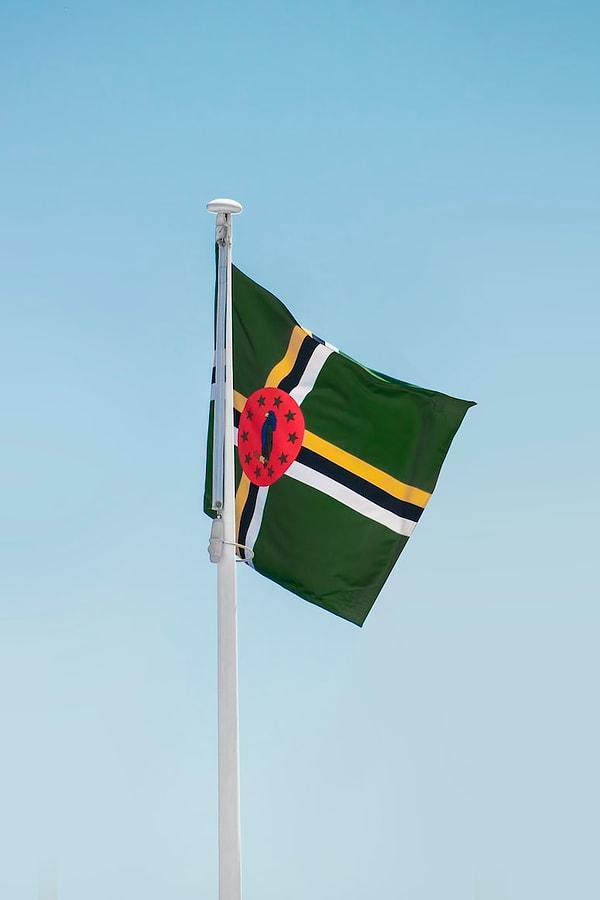 13. Dünyada sadece Dominika ve Nikaragua'nın bayraklarında mor renk bulunur.