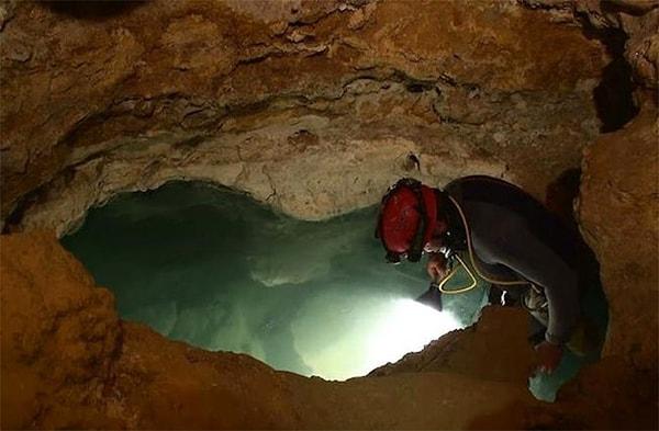 Mağarayı ziyarete giden ilk biyologlardan biri Cincinnati Üniversitesi'nde biyoloji profesörü olan Dr. Thomas Kane'di.