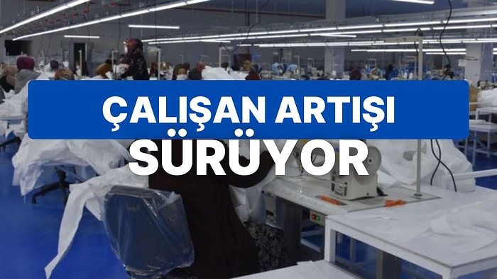 TÜİK'in İstihdamı Arttı: Ücretli Çalışanların Yükselişi Sürüyor