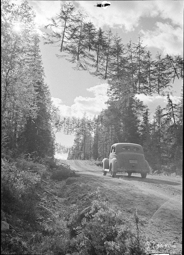 3. II. Dünya Savaşı sırasında Finlandiya'daki kamufle edilmiş bir yol.