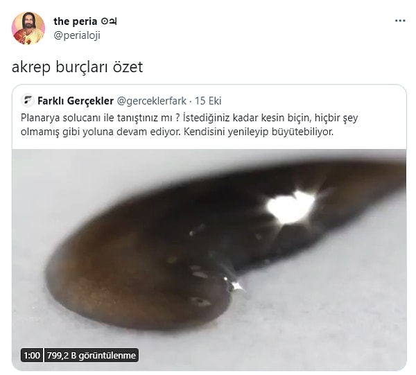 11. Bugün de Akrep'ler gündemde...