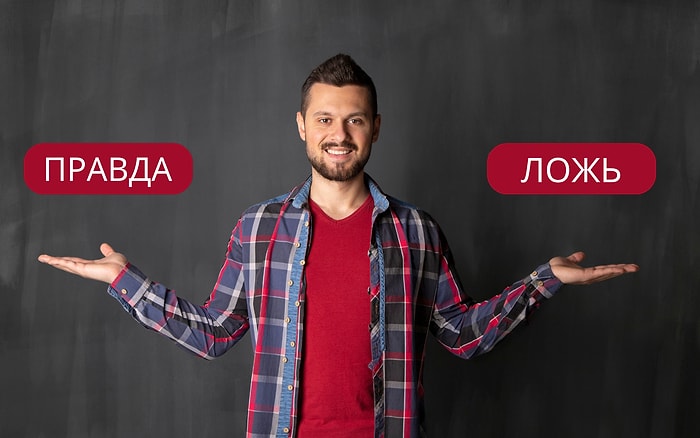 Тест "Правда или ложь", который проверит вас на общие знания