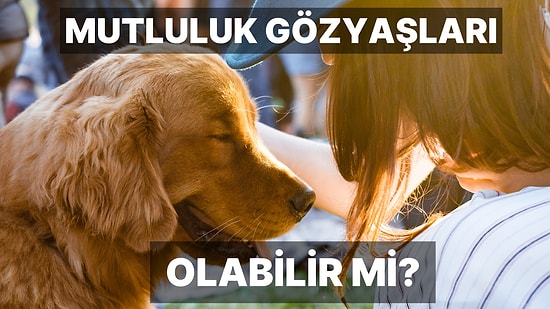 Köpekseverler Buraya! Köpekler Mutluluktan Ağlar mı?