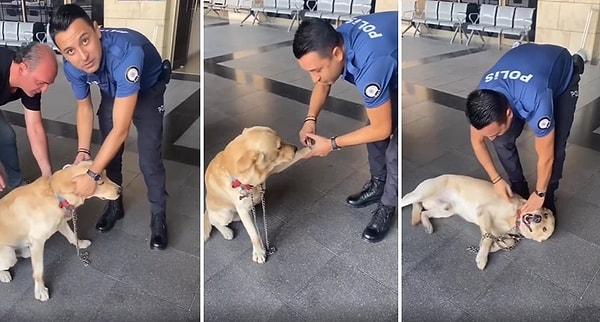 Kelepçe takmaya çalıştığı köpeği daha sonra sevmeye başlayan polis memuru ortaya sımsıcak görüntüler çıkardı.