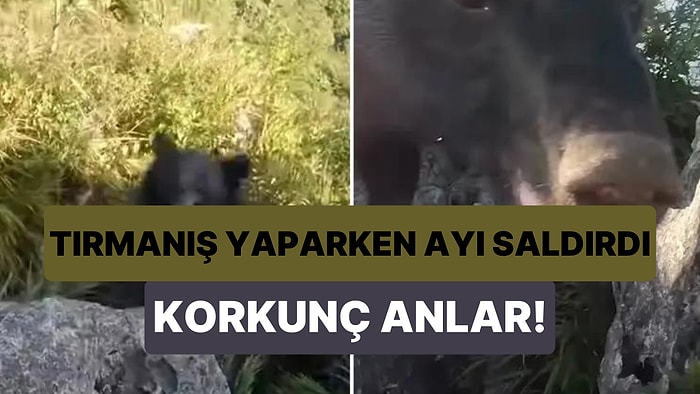 Tırmanış Yaptığı Sırada Ayı Tarafından Saldırıya Uğrayan Dağcının Korku Dolu Anları