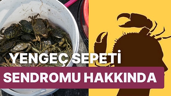 "Ben Başaramıyorsam Sen de Başaramazsın": Yengeç Sepeti Sendromu (Crab Mentality) Hakkında Bilmeniz Gerekenler