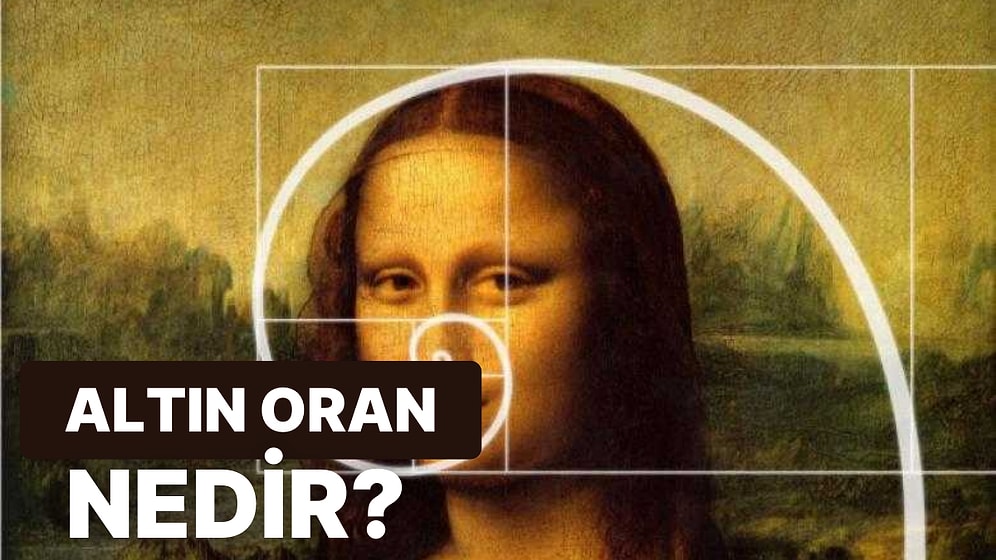 Altın Oran Hakkında Bilmeniz Gereken Her Şeyi Açıklıyoruz!