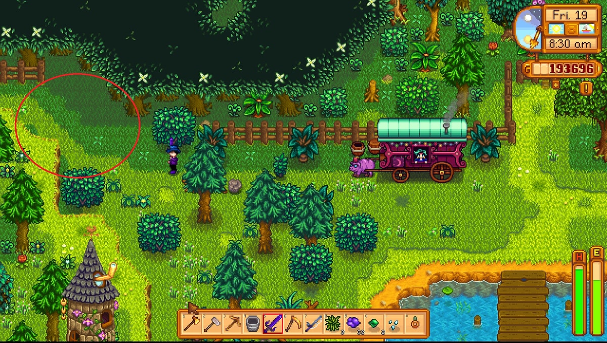 How to find the secret woods in stardew valley onedio