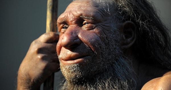Dr. Skov, 11 Neandertal'in hepsinin aynı zamanlarda yaşadığını düşünüyor. Çünkü birçoğu yakın akrabaydı.