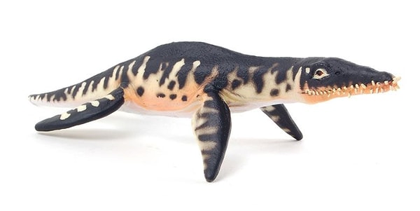 Седьмое место: Лиоплевродон