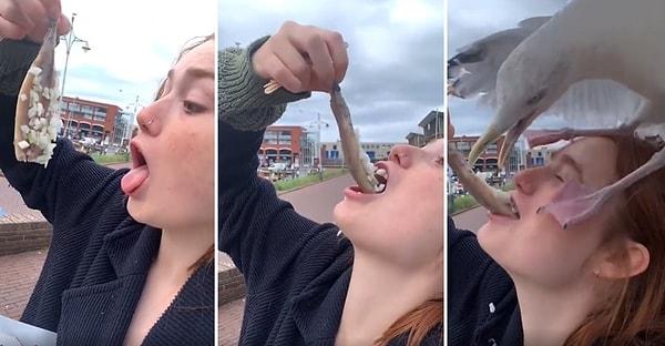 Hollanda'da yaşandığı belirtilen olayda, bir kadın yediği çiğ balığı martıya kaptırdı.