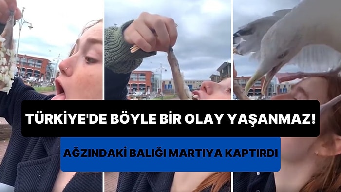 Türkiye'de Böyle Bir Şey Yaşanmaz: Balık Yiyen Kadının Ağzından Balığı Çekip Alan Martı