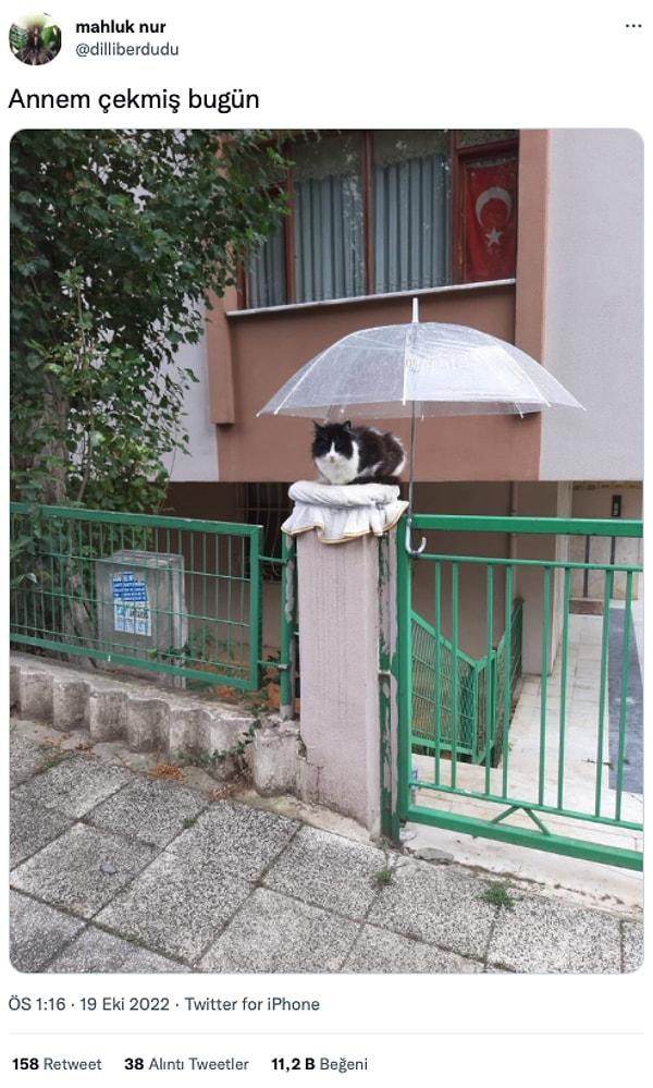 2. Birazdan şemsiye altından çıkıp ıslanır. :)