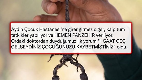 Akrep Sokan Çocuğunu Hastaneye Götüren Ailenin Yaşadığı Skandal Mağduriyet Kanınızı Donduracak!