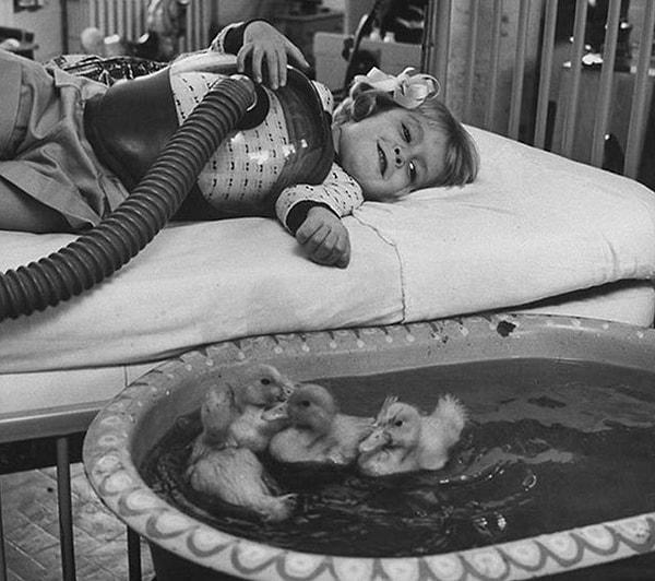 9. Tıbbi tedavinin bir parçası ve terapi olarak kullanılan hayvanlar - 1956: