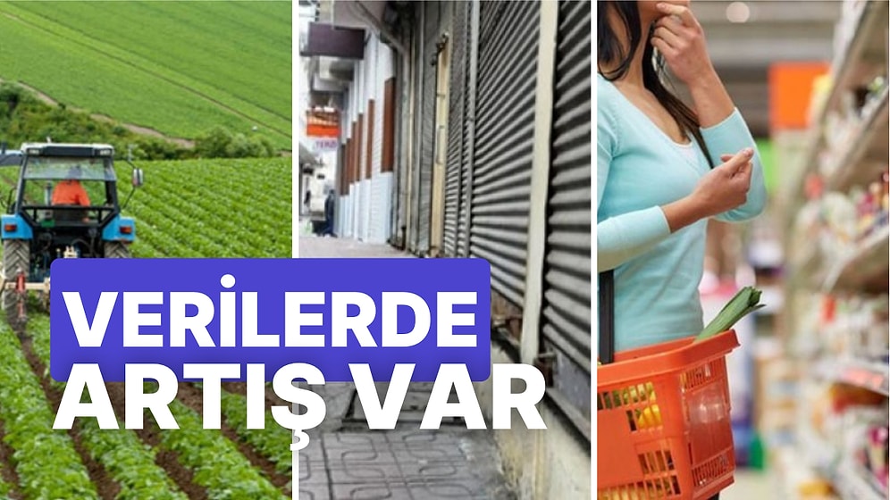 TÜİK Tüketici Güveni ve Tarım Girdileri, TOBB'un da Kurulan Şirketleri Arttı