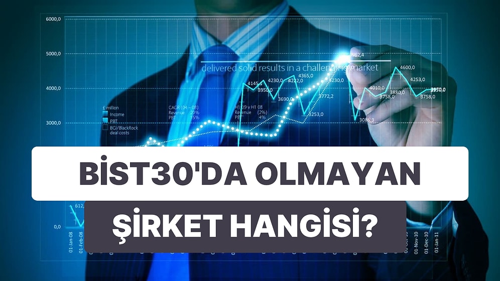 Bu Şirketlerden Hangisinin BİST30’da Olmadığını Bulabilecek misin?
