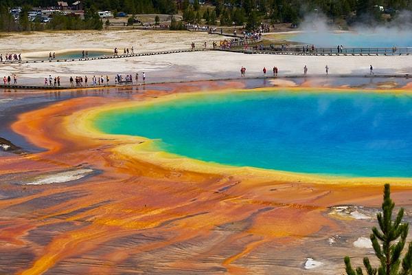 3. Yellowstone kaplıca havuzları asidiktir ve insan vücudunu eritebilir.