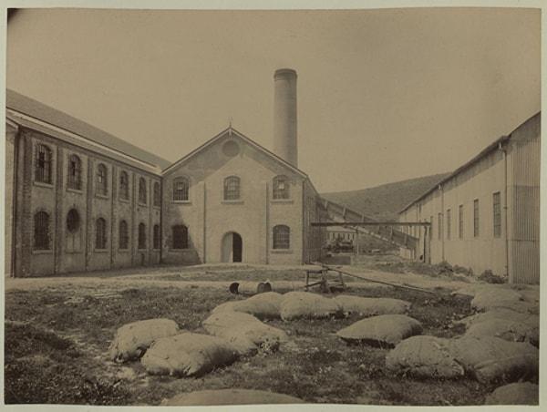1804 yılında III. Selim’in isteği üzerine Beykoz Hünkar İskelesi’ndeki değirmen ocağında önce bir kâğıt fabrikası kuruldu.