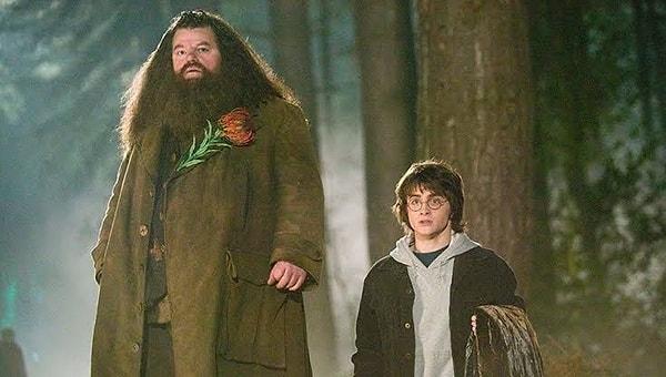 Hagrid'in asası 40 santimetreydi.