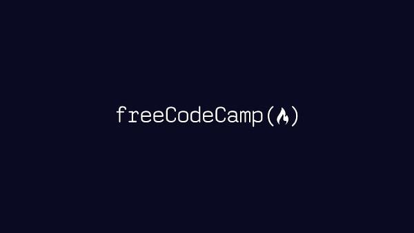 2. freeCodeCamp.org